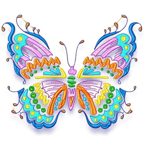 Beautiful Coloured Butterflies