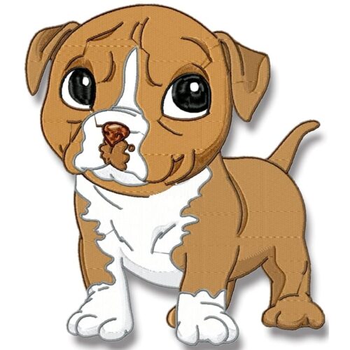 Cute Baby American Bulldog