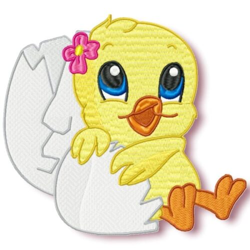 Cute Baby Chicken Hatching