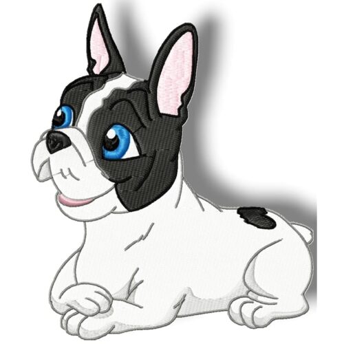 Cute Baby French Bulldog