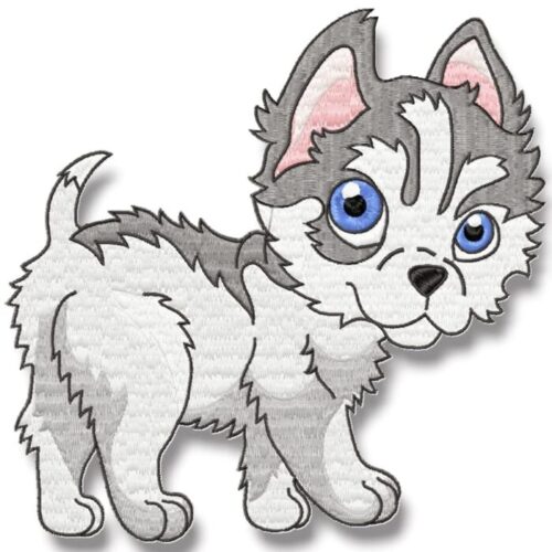 Cute Baby Husky