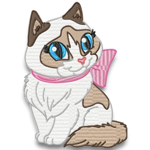 Cute Baby Ragdoll Cats