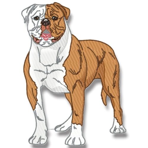 Realistic American Bulldog