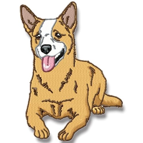 Blue Heeler Realistic