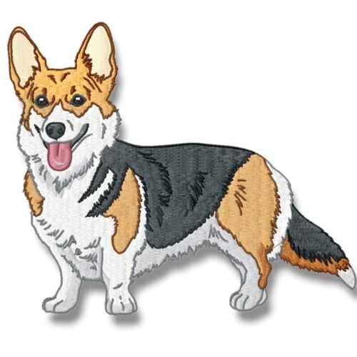 Corgi Realistic