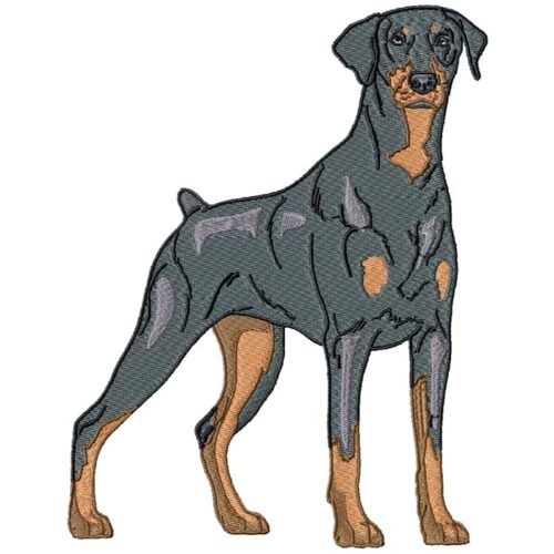 Doberman Realistic