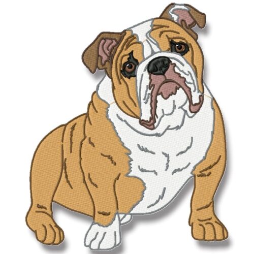  English Bulldog Realistic
