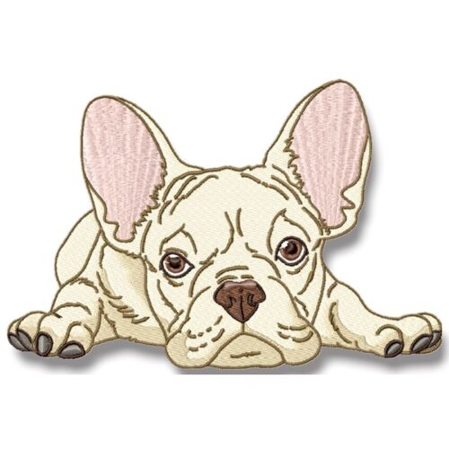  French Bulldog Realistic
