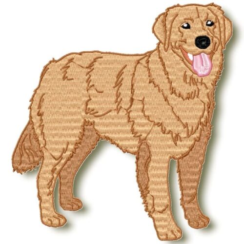 Golden Retriever Realistic