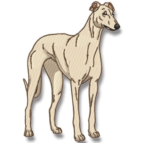 Greyhound Realistic