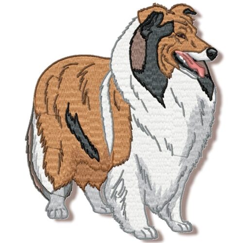 Collie Realistic Long-Haired