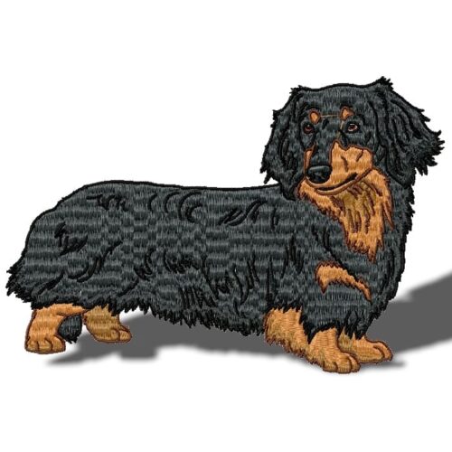 Dachshund Longhair Realistic