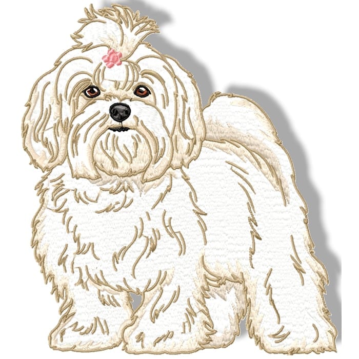 Maltese Terrier Realistic - Image 11