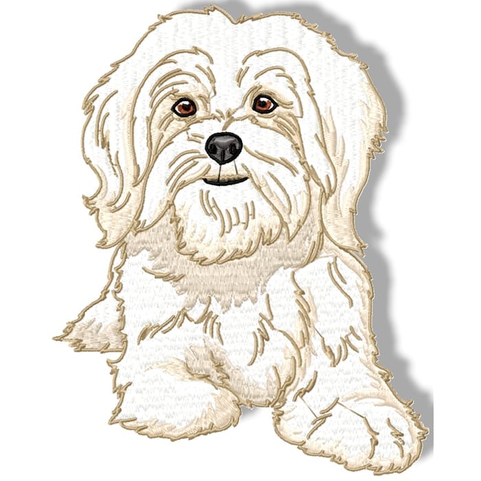 Maltese Terrier Realistic - Image 9