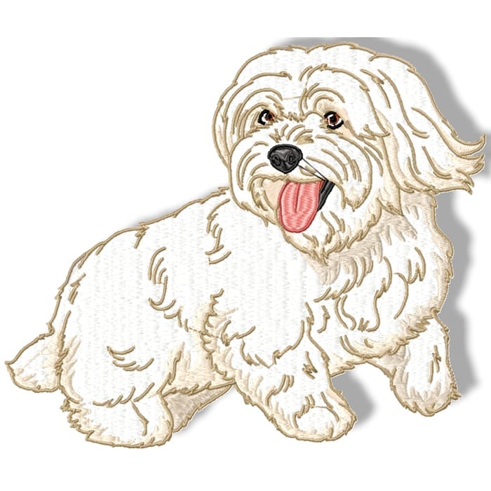 Maltese Terrier Realistic - Image 7