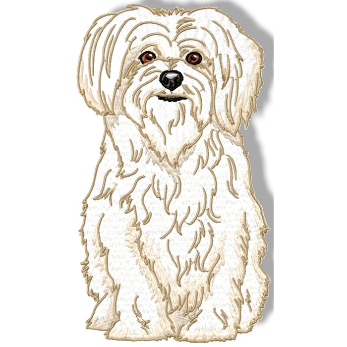Maltese Terrier Realistic