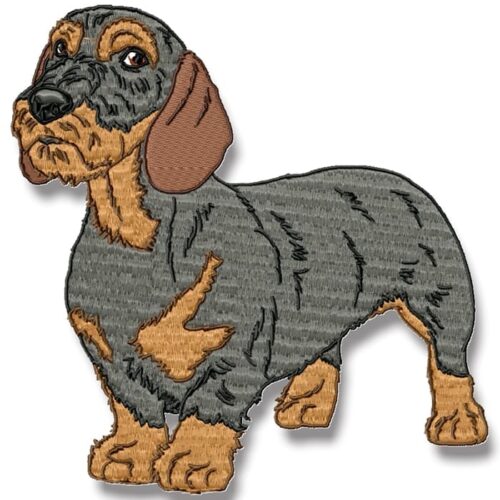 Wire-Haired Dachshund Realistic