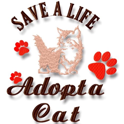 Adopt A Cat