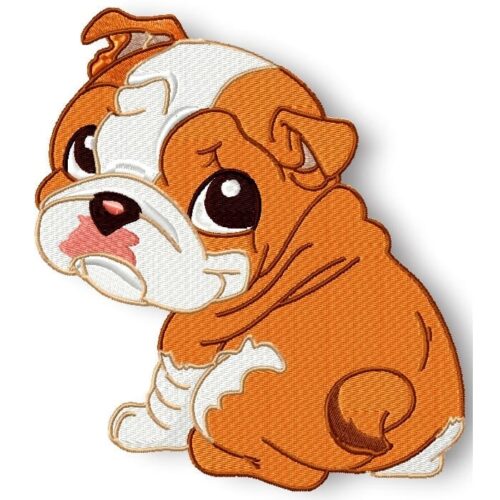 Cute Baby English Bulldog