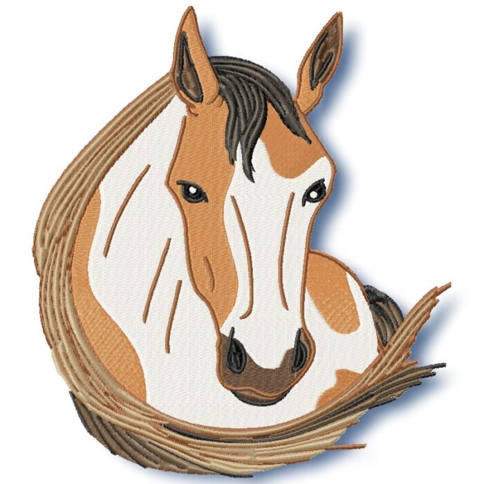 Elegant Horses - Image 3