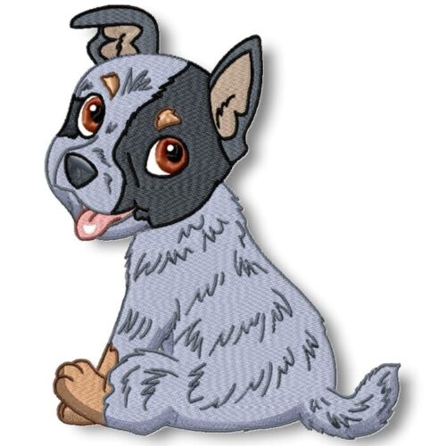 Cute Baby Blue Heelers