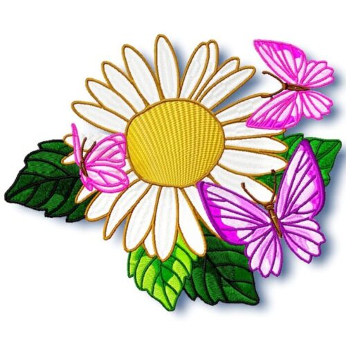 Daisy and Butterflies