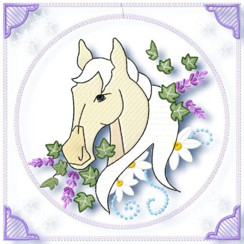 Horses Profile Blocks