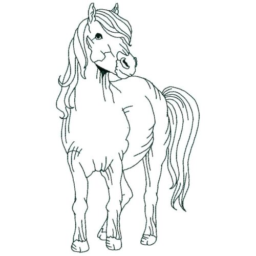 horses linework