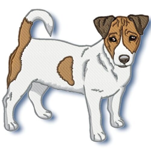 Jack Russell Realistic