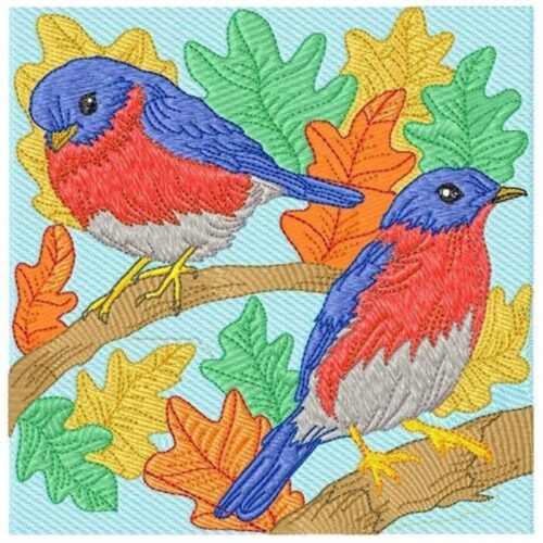 Bird Blocks with linework