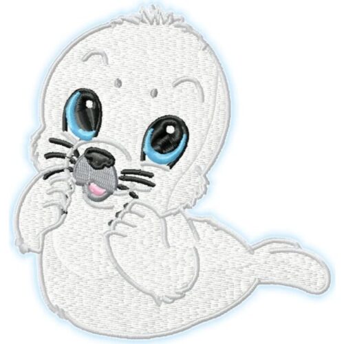 Cute Baby Seal