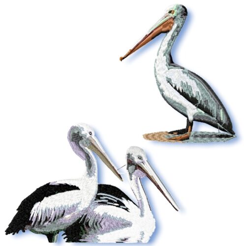 Two Pelicans Set
