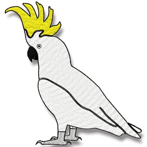 Sulphur Crested Cockatoo