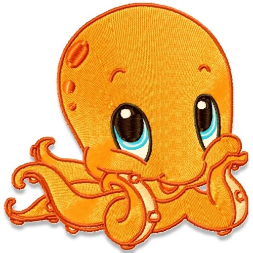 Cute Baby Octopus