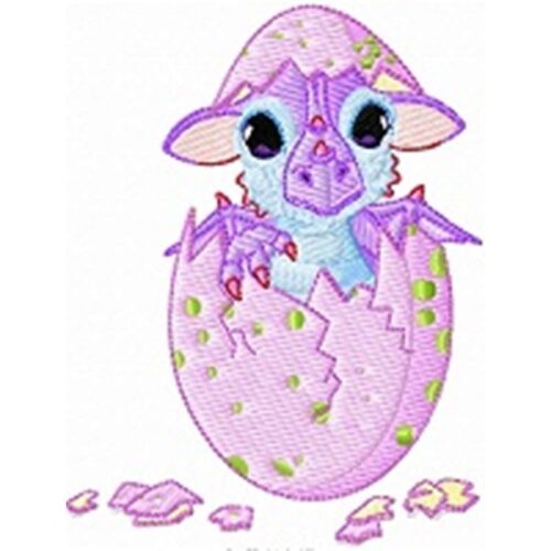 dragy two machine embroidey