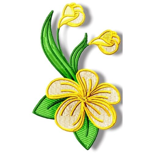 Frangipani Flowers with Line Work