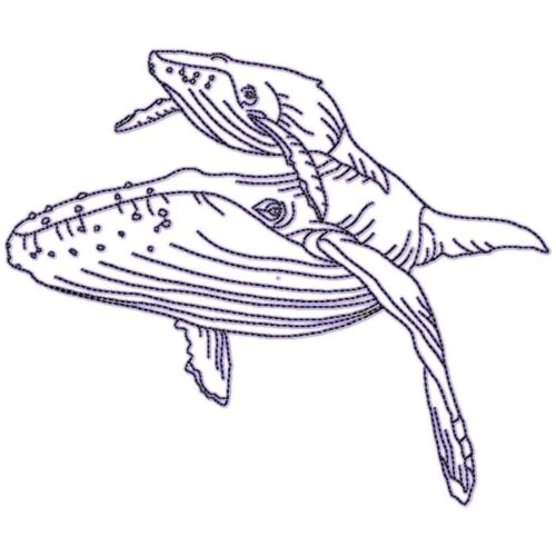 Whales Linework