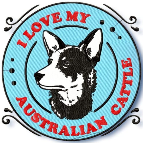 I Love My Australian Cattle