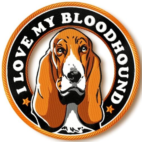 I love my bloodhound 1