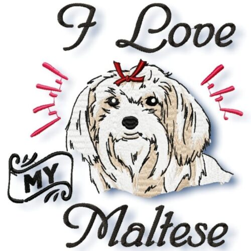 I Love My Maltese