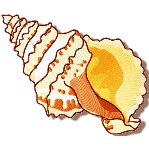 Shells