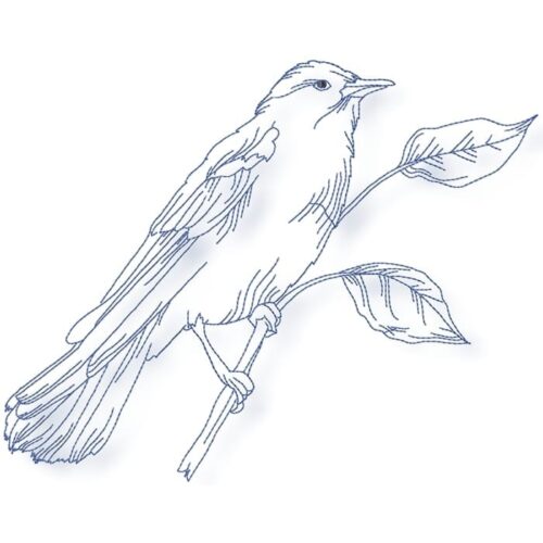 Birds Line work no two