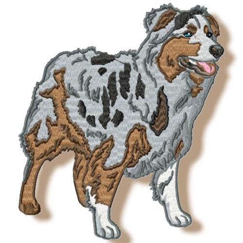 Australian Shepherd Realistic