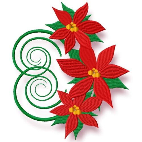Poinsettia Patterns