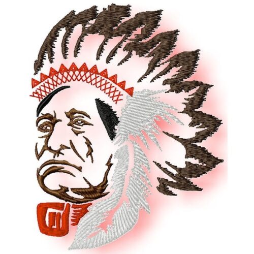 Native American Profile