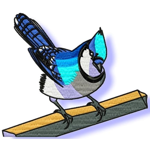 Blue Jay - Image 2
