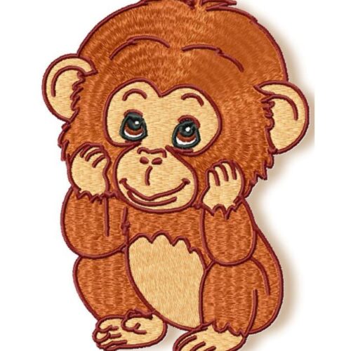 Cute Baby Chimpanzee