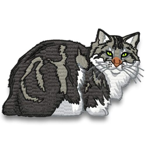 Realistic American Bobtail