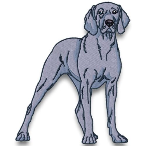 Realistic Weimaraner