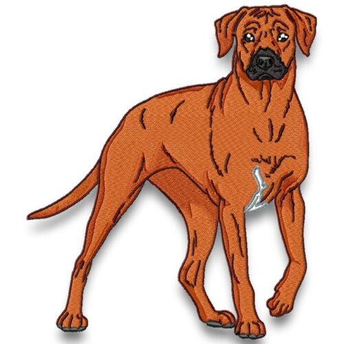 Rhodesian Ridgeback Realistic
